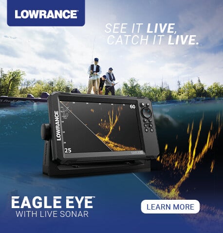 LOW_Eagle Eye Digital Ads_FINAL_220x229